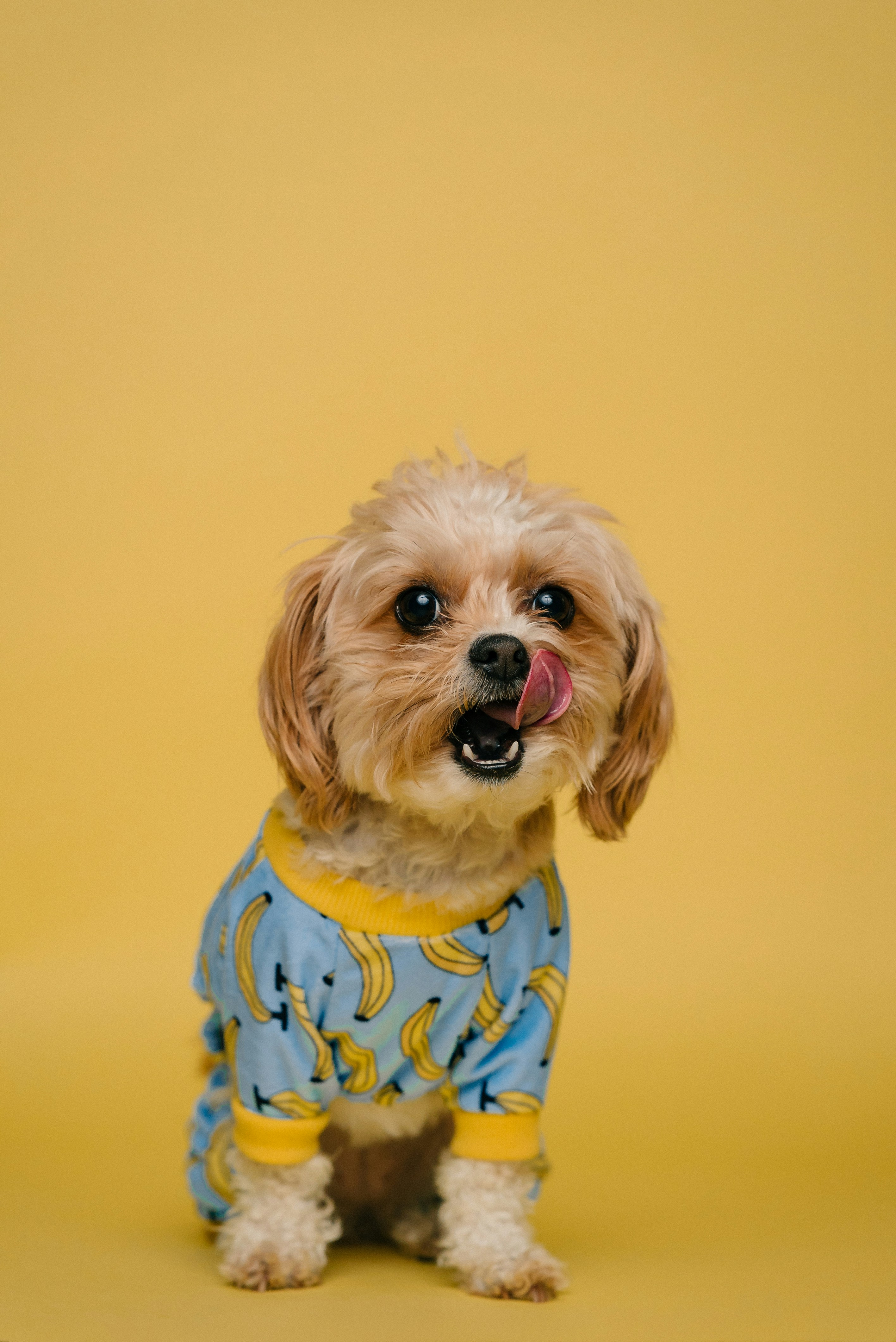 11-pijama-amarillo