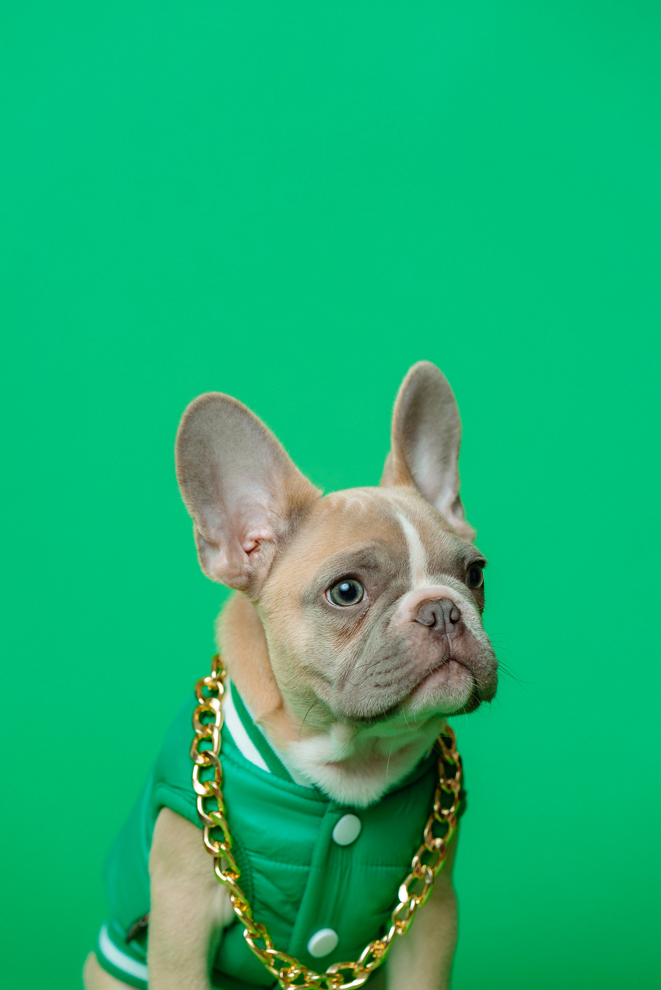 04-campera-verde
