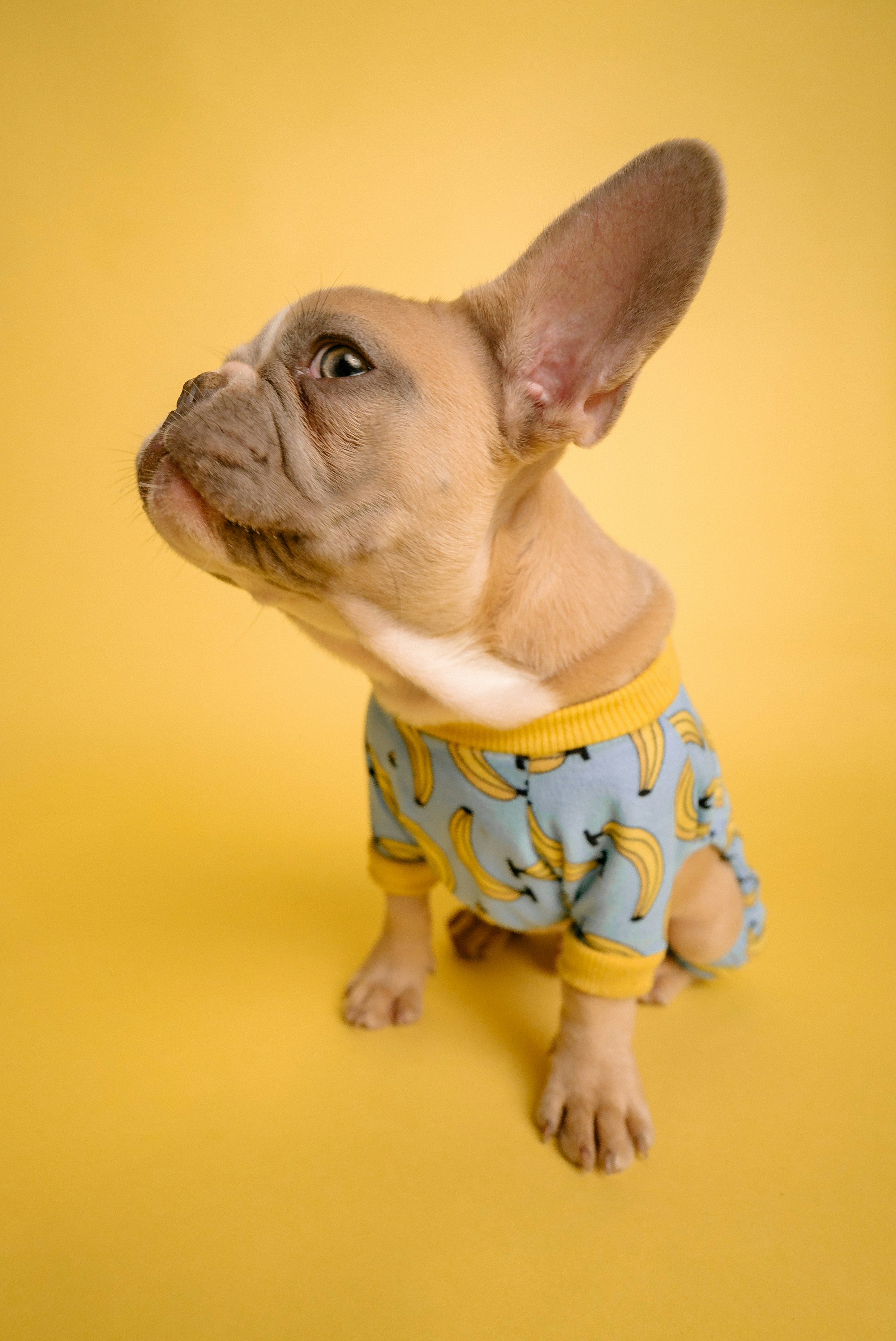 05-pijama-amarillo